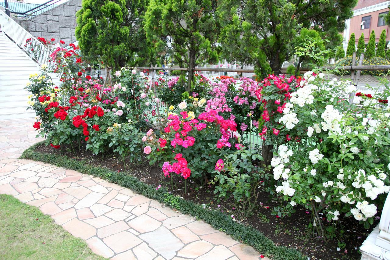 Hotel Sunlife Garden Hiratsuka Eksteriør billede